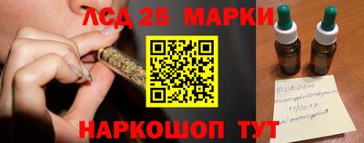 стаф Новозыбков