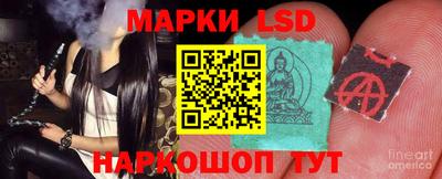 индика Новодвинск