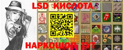 индика Новодвинск