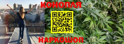 индика Новодвинск