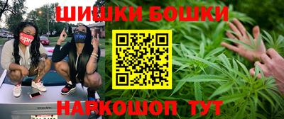 индика Новодвинск