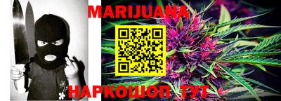 индика Новодвинск