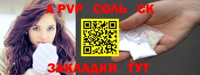 индика Новодвинск