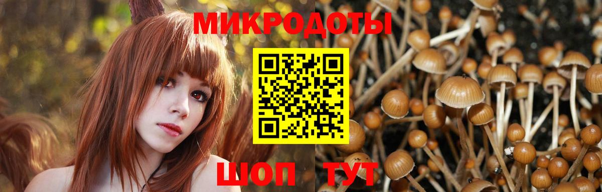 Галлюциногенные грибы мицелий  Вход с VPN  Реутов 