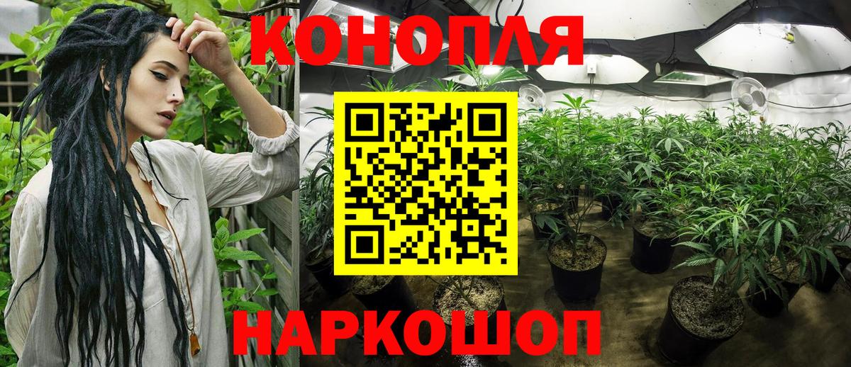 Канабис AK-47  Бошки Шишки конопля  Реутов  Вход с VPN 